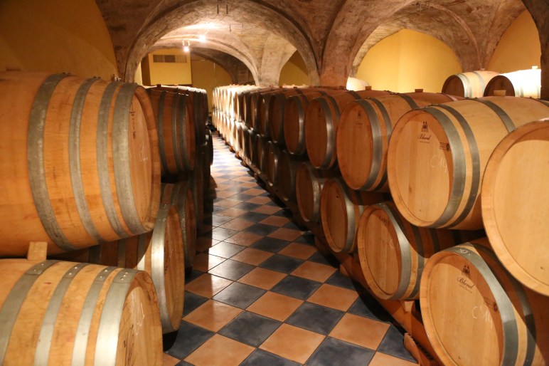 Wine Celler in Burgundy